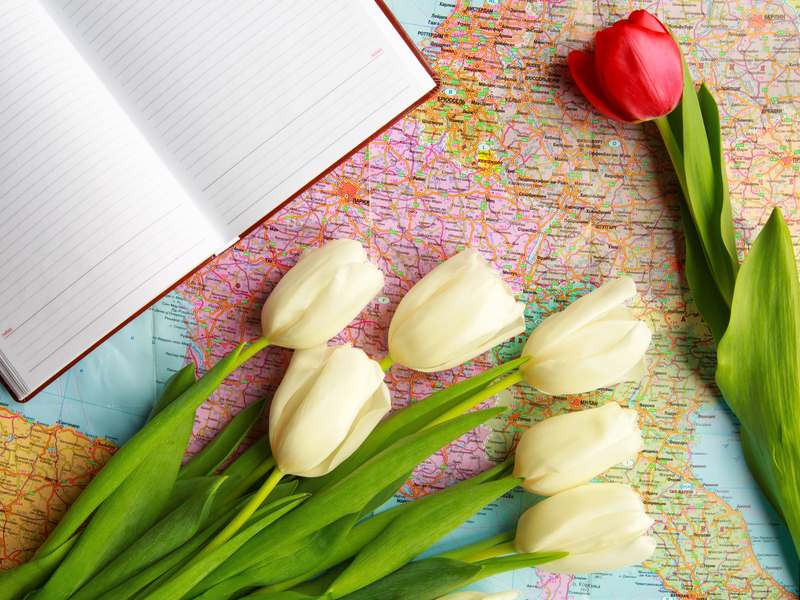 flowers  / turn flowers